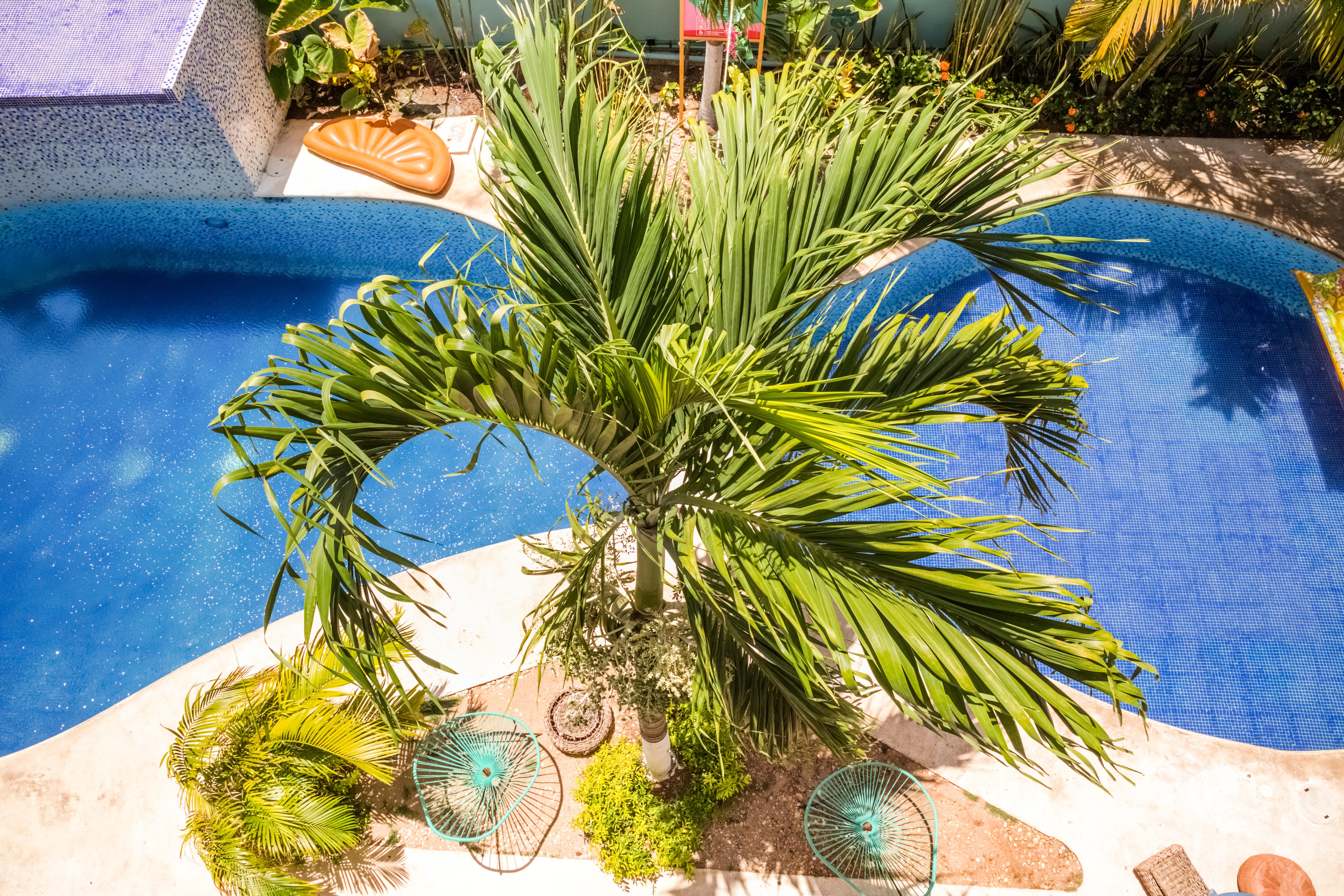 Selina Playa Del Carmen Hotel Exterior photo